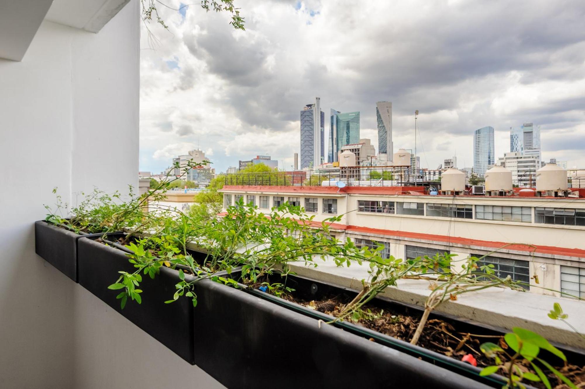 Appartamento Colima 340 By Wynwood House Città del Messico Esterno foto